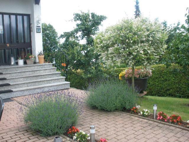 Ferienwohnung Irmgard Und Ferienwohnung Gerlinde Waldbrunn  Eksteriør billede