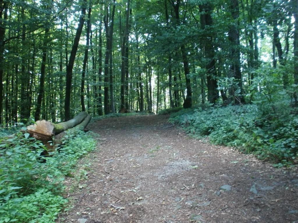 Ferienwohnung Irmgard Und Ferienwohnung Gerlinde Waldbrunn  Eksteriør billede